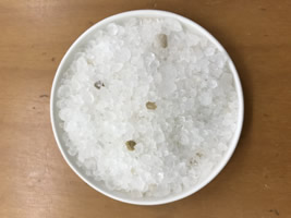 死海の塩:クリスタル粒
